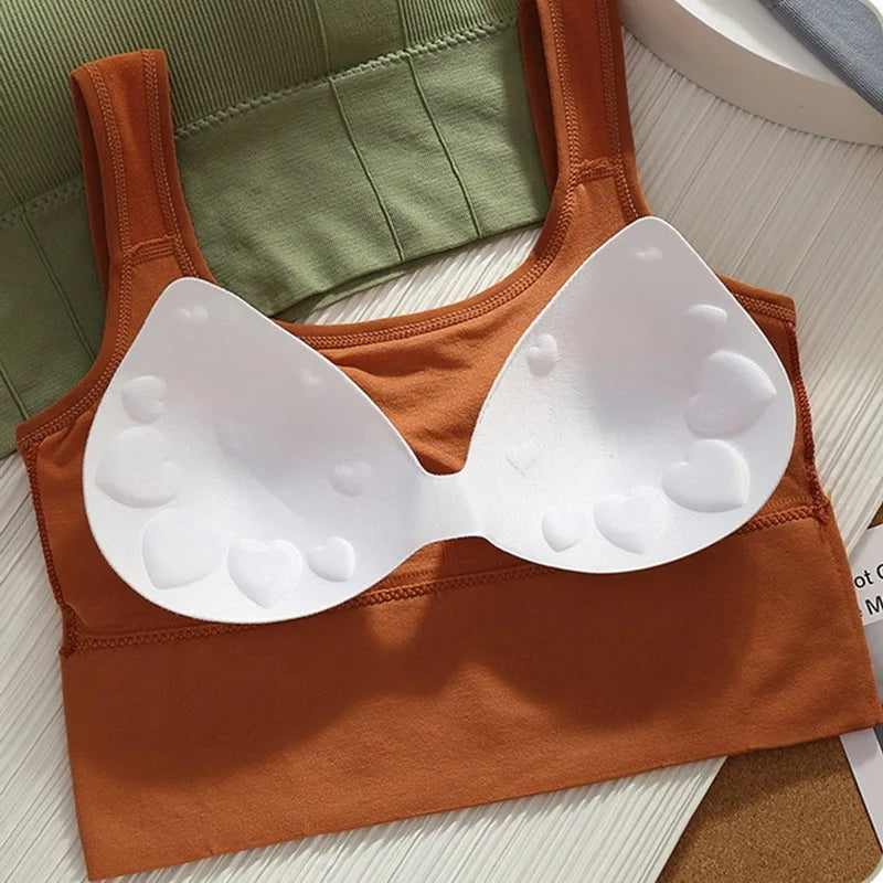 Women’s Seamless Sports Bra – Shockproof Push-Up Fitness Top | Anti-Sweat Yoga Crop Bra for Gym & Workout